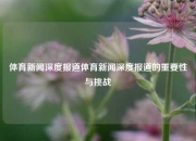 体育新闻深度报道体育新闻深度报道的重要性与挑战