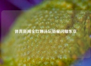 体育新闻全红婵泳坛新星闪耀东京