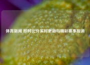 体育新闻 即时比分实时更新与精彩赛事报道