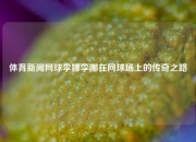 体育新闻网球李娜李娜在网球场上的传奇之路
