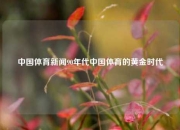 中国体育新闻90年代中国体育的黄金时代