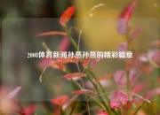2008体育新闻孙燕孙燕的精彩篇章