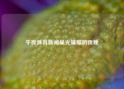 午夜体育新闻星光璀璨的夜晚