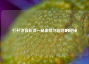 打开体育新闻一场激情与智慧的碰撞