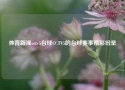 体育新闻cctv5台球CCTV5的台球赛事精彩纷呈