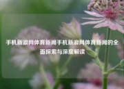 手机新浪网体育新闻手机新浪网体育新闻的全面探索与深度解读