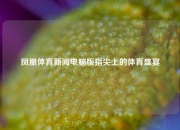凤凰体育新闻电脑版指尖上的体育盛宴