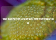 体育新闻观后感500字激情与挑战并存的精彩篇章