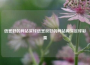 信誉好的网站买球信誉良好的网站购买足球彩票