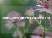 买球的app网站全球首款专业足球APP正式上线！