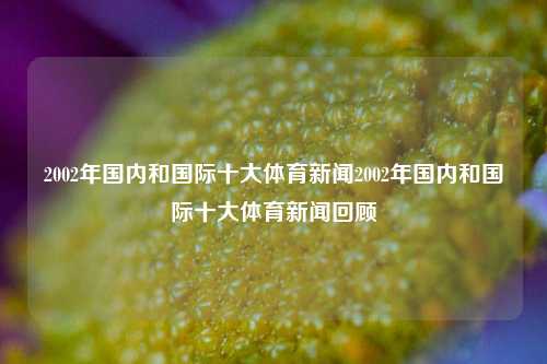 2002年国内和国际十大体育新闻2002年国内和国际十大体育新闻回顾