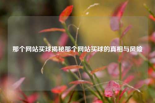 那个网站买球揭秘那个网站买球的真相与风险