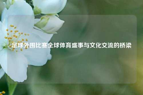 足球外围比赛全球体育盛事与文化交流的桥梁