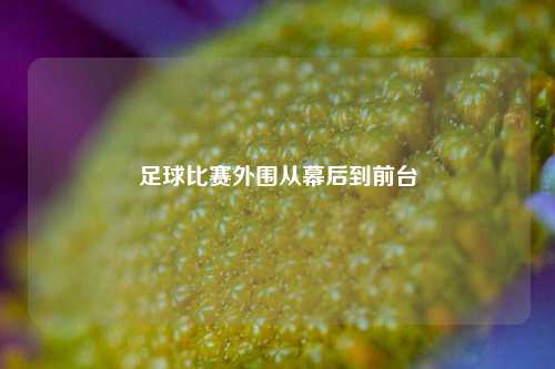 足球比赛外围从幕后到前台
