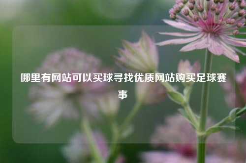 哪里有网站可以买球寻找优质网站购买足球赛事