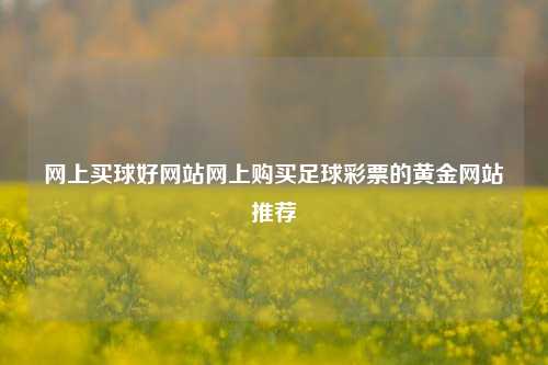 网上买球好网站网上购买足球彩票的黄金网站推荐