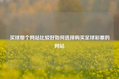 买球那个网站比较好如何选择购买足球彩票的网站