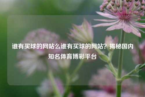 谁有买球的网站么谁有买球的网站？揭秘国内知名体育博彩平台