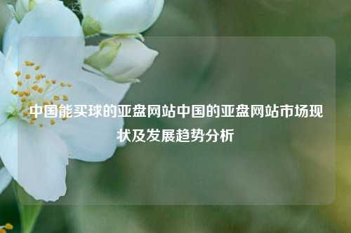 中国能买球的亚盘网站中国的亚盘网站市场现状及发展趋势分析