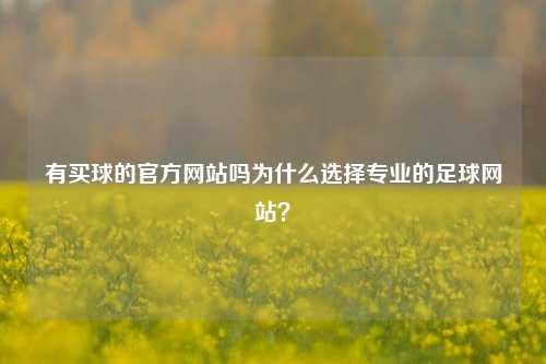 有买球的官方网站吗为什么选择专业的足球网站？