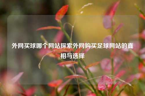 外网买球哪个网站探索外网购买足球网站的真相与选择