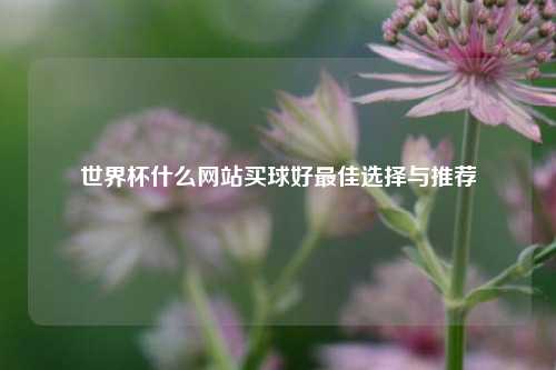 世界杯什么网站买球好最佳选择与推荐