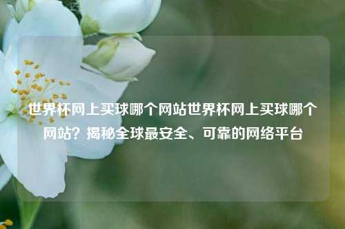 世界杯网上买球哪个网站世界杯网上买球哪个网站？揭秘全球最安全、可靠的网络平台
