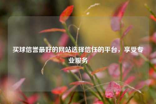 买球信誉最好的网站选择信任的平台，享受专业服务