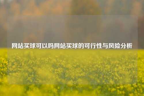 网站买球可以吗网站买球的可行性与风险分析
