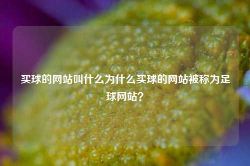 买球的网站叫什么为什么买球的网站被称为足球网站？