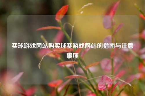 买球游戏网站购买球赛游戏网站的指南与注意事项