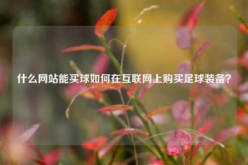 什么网站能买球如何在互联网上购买足球装备？